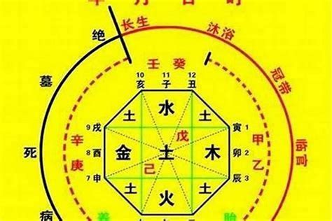 參考忌神|八字的喜用神与忌神详解